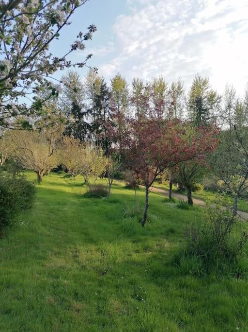 Chalet En Pleine Nature Au Bord D'Un Etang Lanvallay Kültér fotó