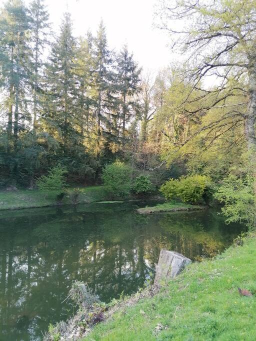 Chalet En Pleine Nature Au Bord D'Un Etang Lanvallay Kültér fotó